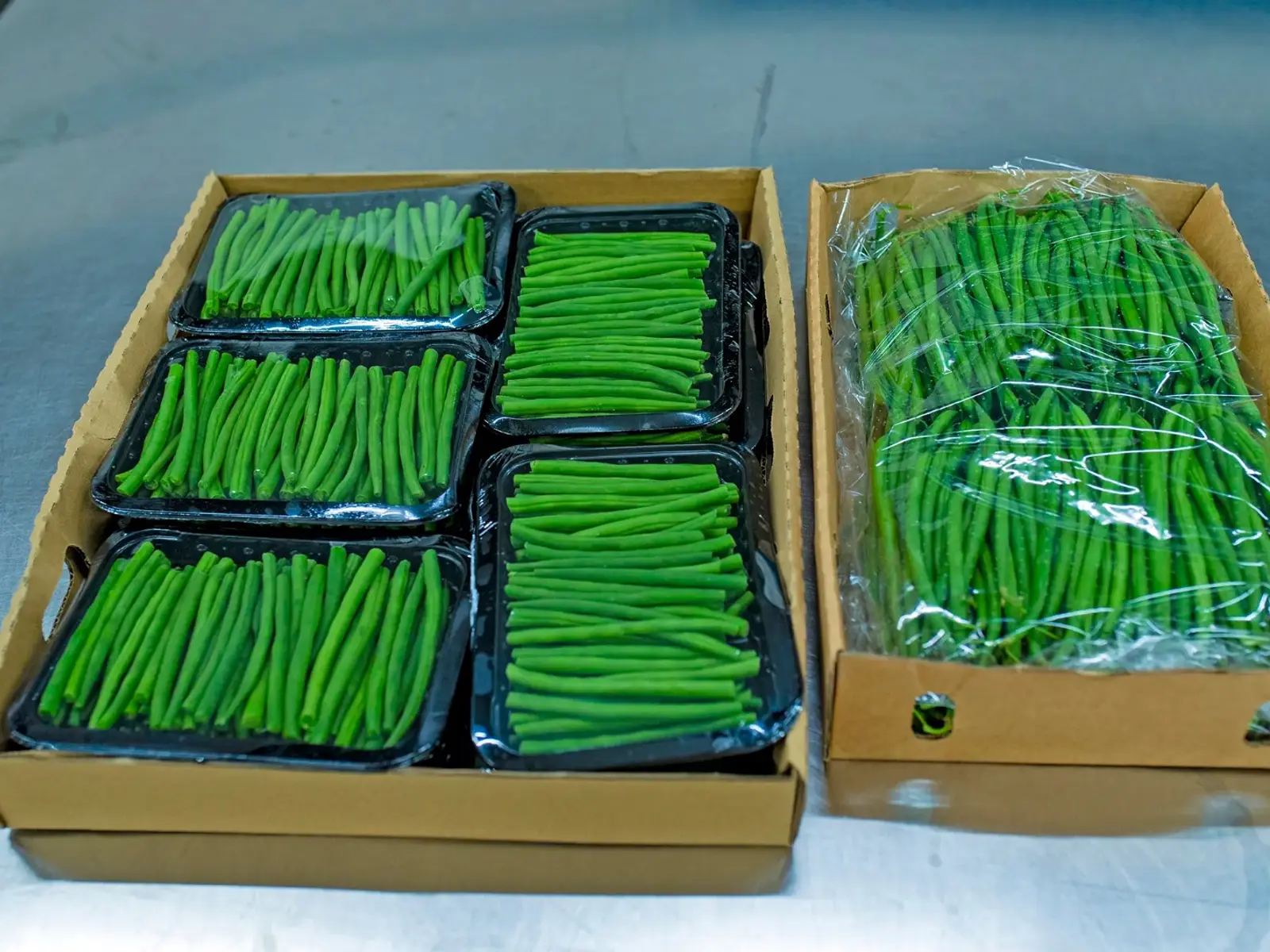Fresh hand-picked French beans in a harvest crate
