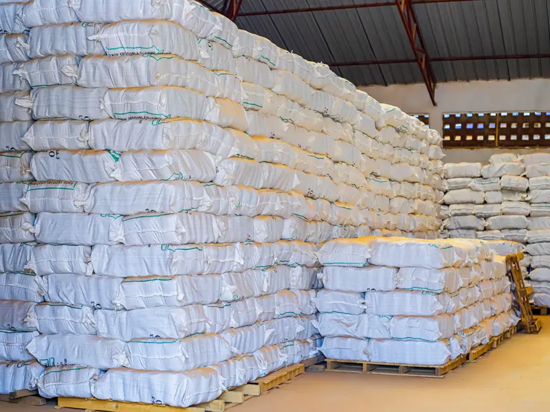 Bagged maize stored in the certified warehouse