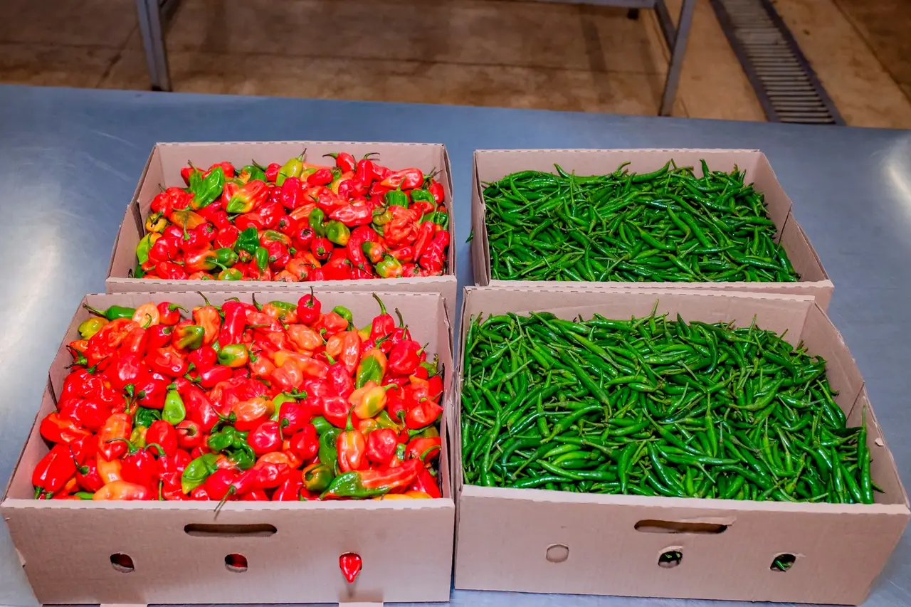 Bird's Eye Chillies